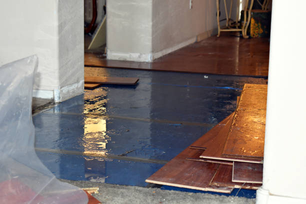 Professional Basement Flood Cleanup technician working in Mize, MS